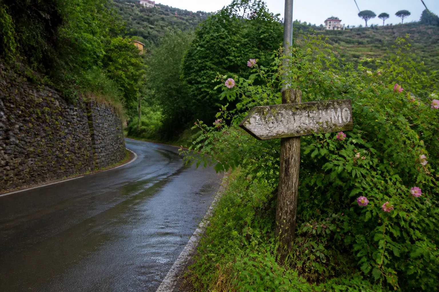 Agriturismi nel Tigullio: il nodo delle strade di accesso