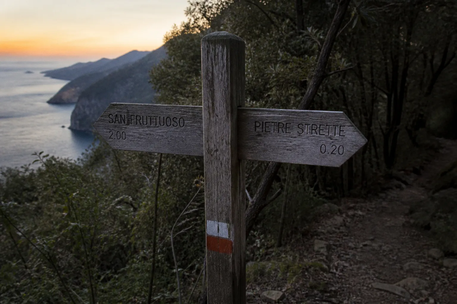 Parco di Portofino: meglio i sentieri a mare o nel bosco?